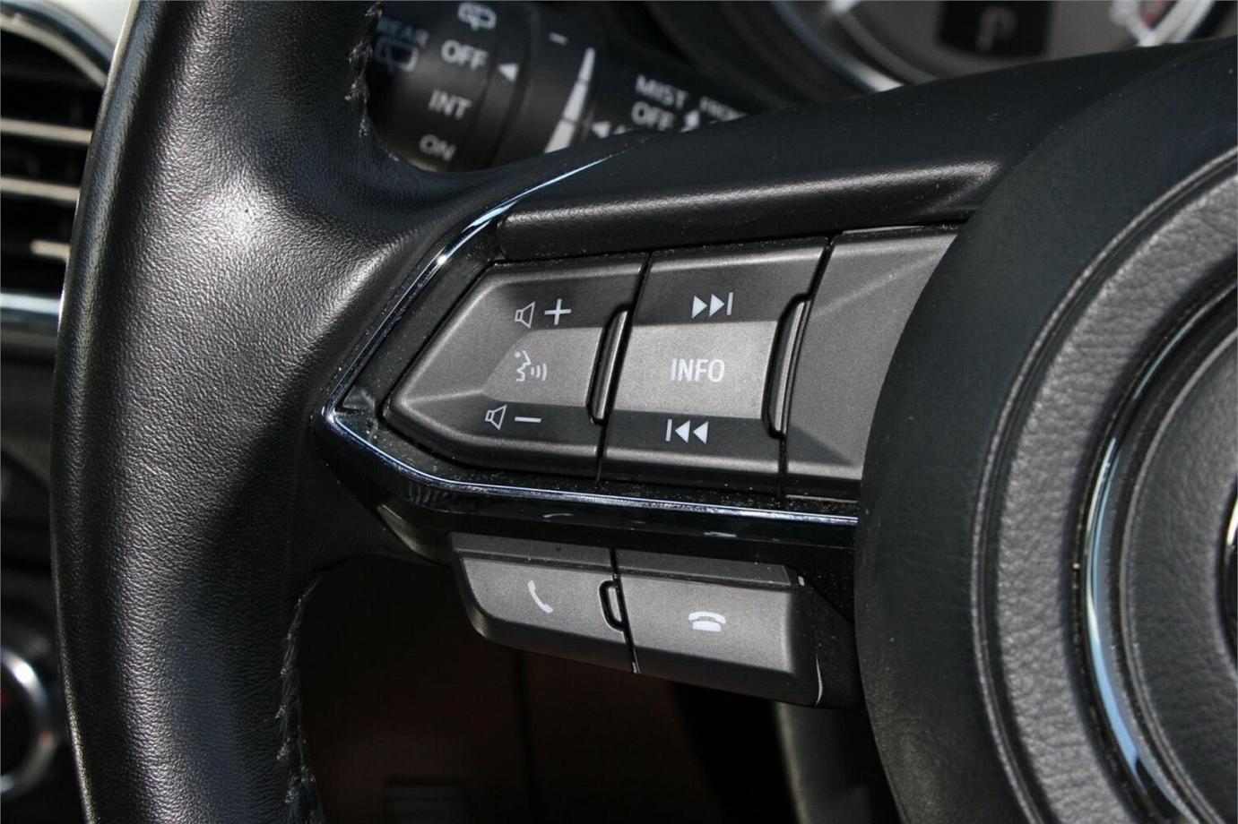 2017 Mazda Cx-9 Azami-10