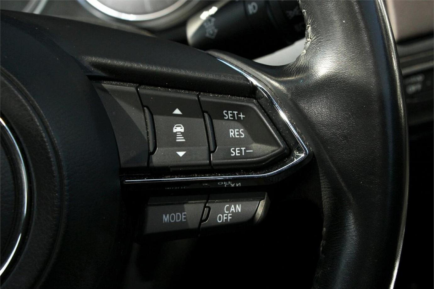 2017 Mazda Cx-9 Azami-11