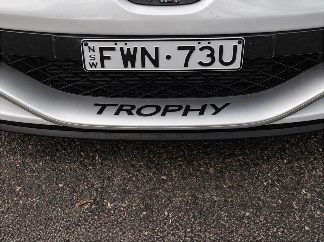 2014 Renault Megane R.s. 275 Trophy-29