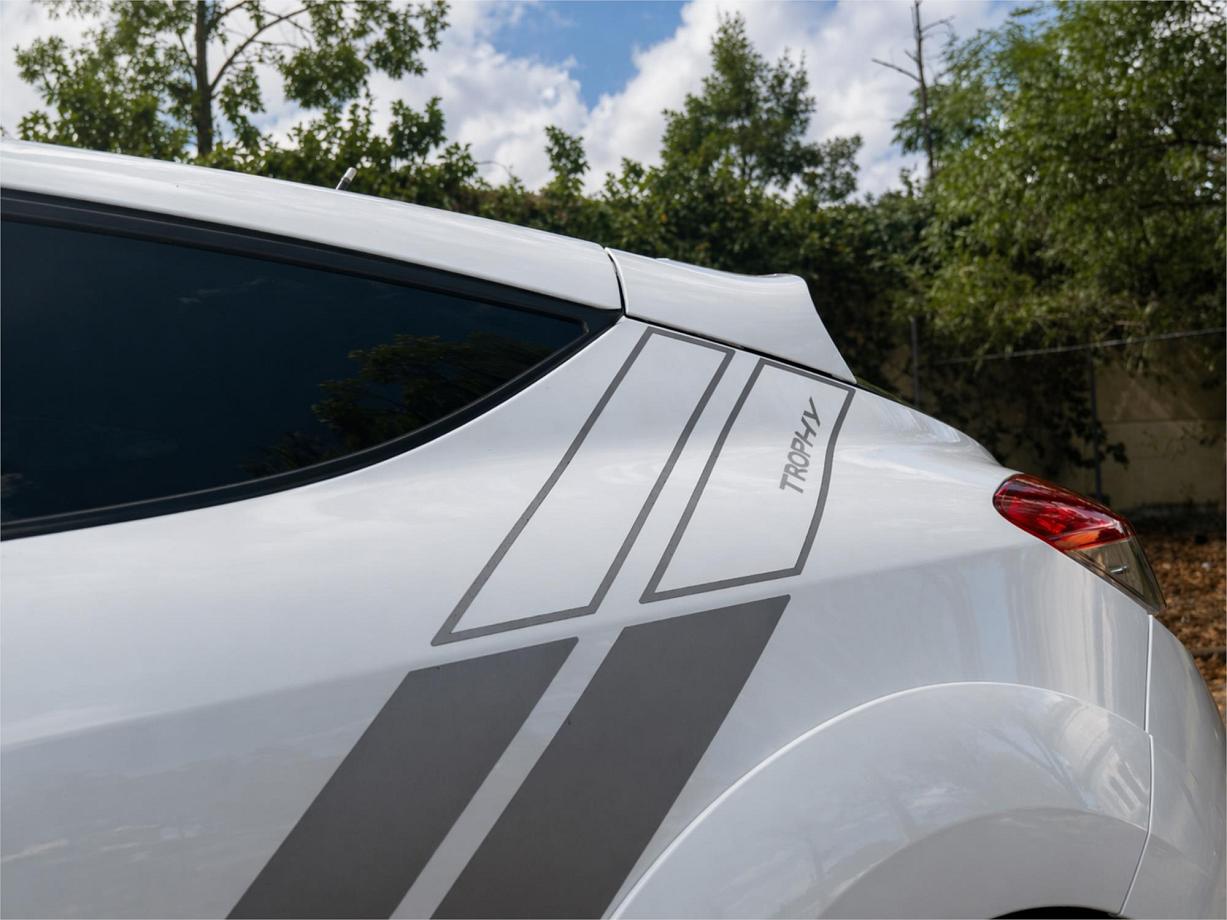 2014 Renault Megane R.s. 275 Trophy-31